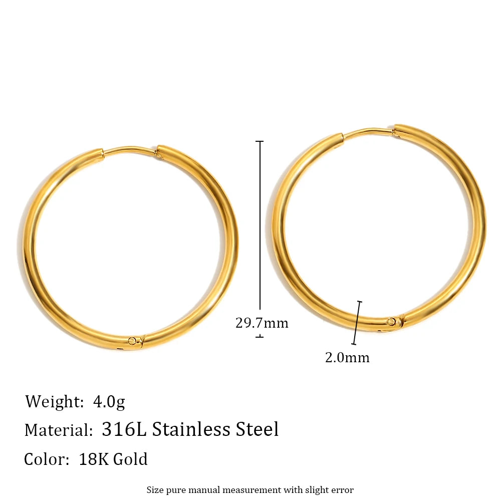 14k Gold Plated Hoop Earrings