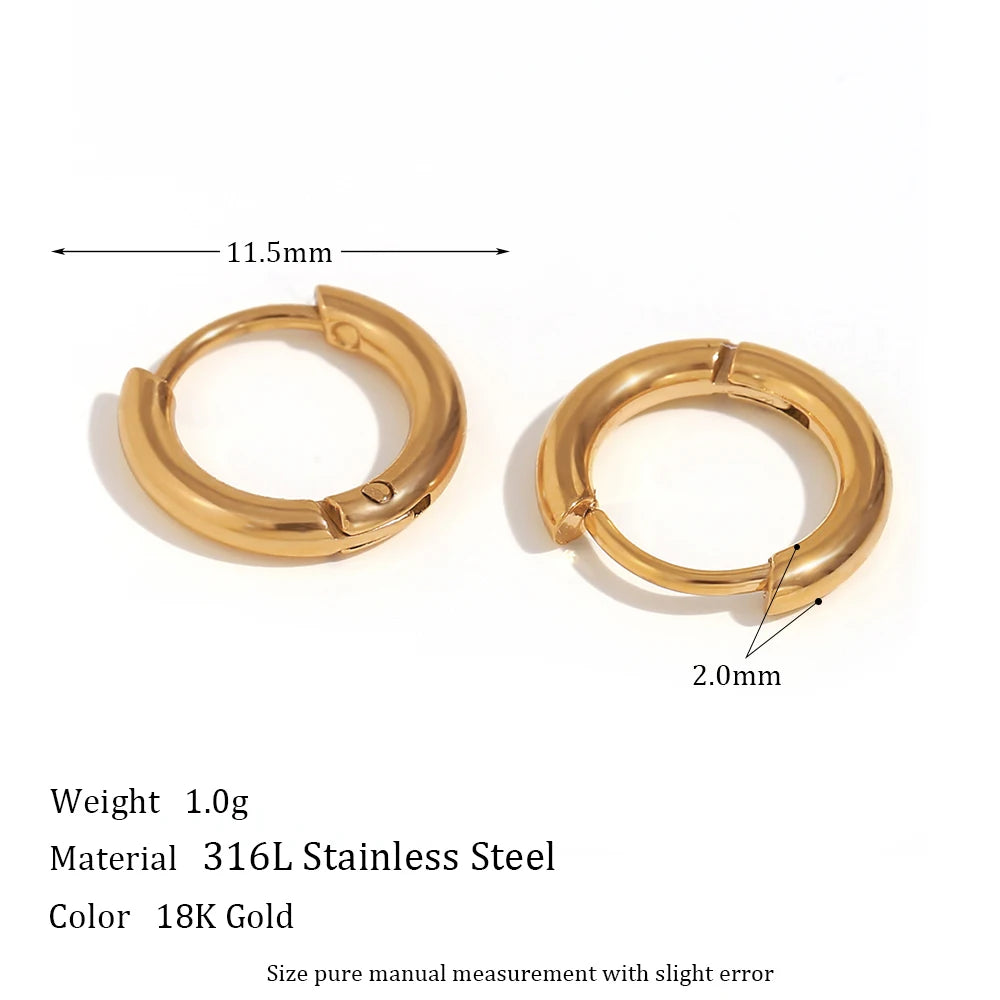 Gold Plated Crystal Huggie Hoop Earring